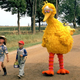 Illustration for article titled iFollow That Bird/i is indelibly tragic